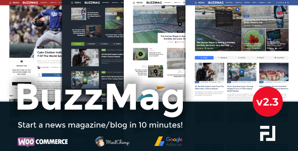 BuzzMag Viral News WordPress Magazine/Blog Theme 2.3